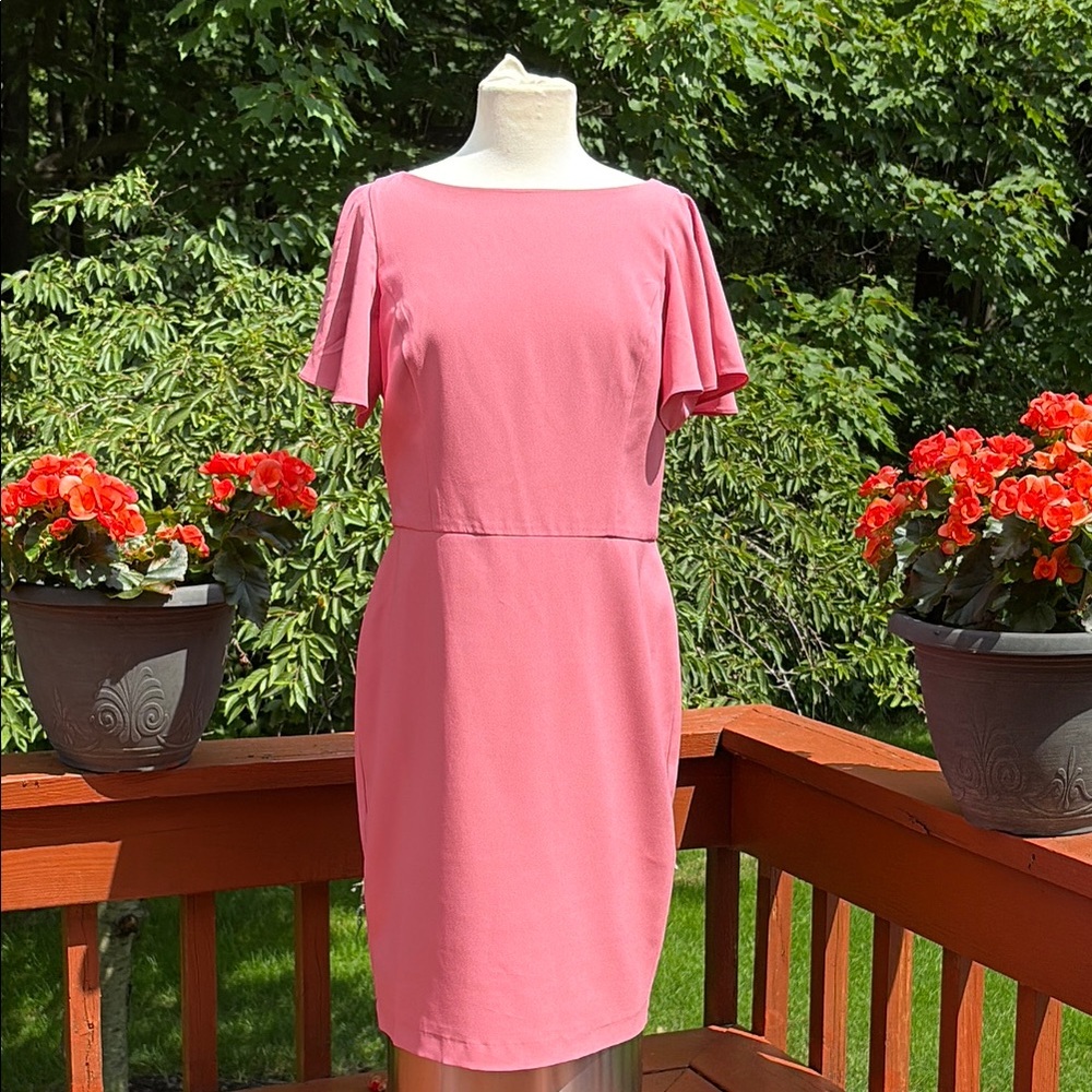 White House Black Market Pink Sheath Dress with Flutter Sleeves-NWT